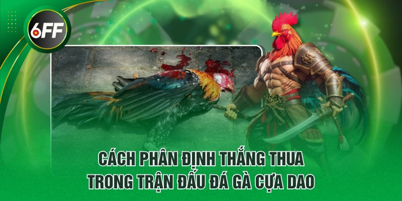 Cách phân định thắng thua trong trận đấu đá gà cựa dao