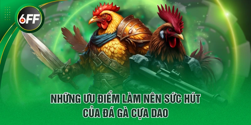 Những ưu điểm làm nên sức hút của đá gà cựa dao